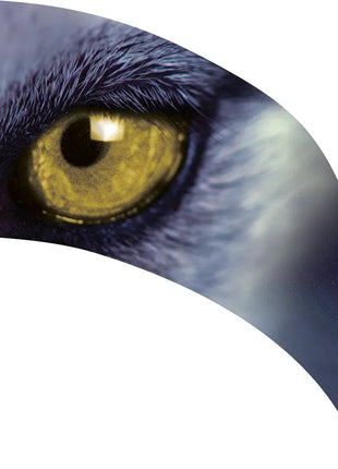 TTH205 - Smith Walbridge Band Products