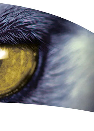 TTH205 - Smith Walbridge Band Products