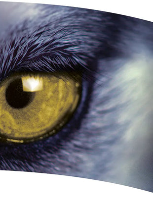 TTH205 - Smith Walbridge Band Products