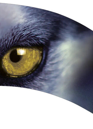 TTH205 - Smith Walbridge Band Products