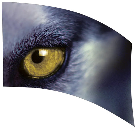 TTH205 - Smith Walbridge Band Products