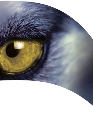 TTH205 - Smith Walbridge Band Products