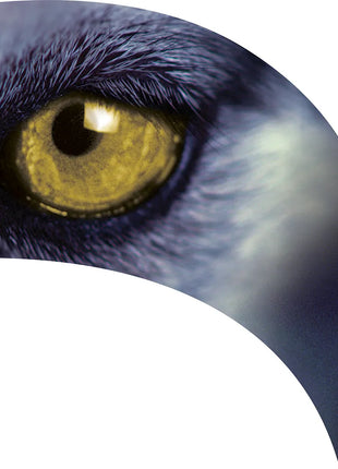 TTH205 - Smith Walbridge Band Products