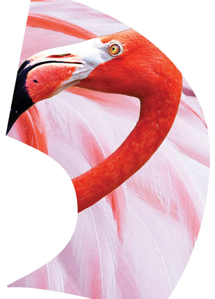 TTH208 - Smith Walbridge Band Products