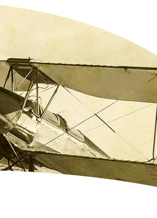 TTH209 - Smith Walbridge Band Products