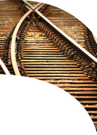 TTH210 - Smith Walbridge Band Products