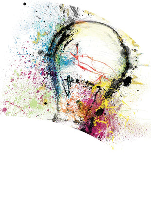 TTH217 - Smith Walbridge Band Products