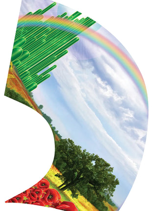 TTH220 - Smith Walbridge Band Products