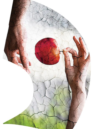 TTH225 - Smith Walbridge Band Products