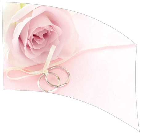 TTH230 - Smith Walbridge Band Products