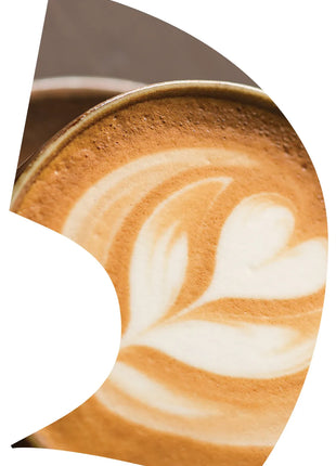 TTH232 - Smith Walbridge Band Products