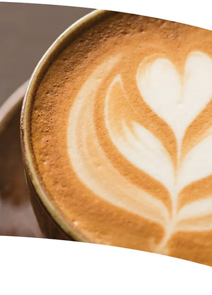 TTH232 - Smith Walbridge Band Products