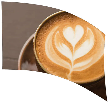 TTH232 - Smith Walbridge Band Products