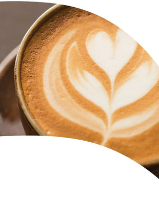 TTH232 - Smith Walbridge Band Products