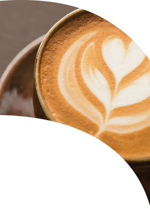 TTH232 - Smith Walbridge Band Products