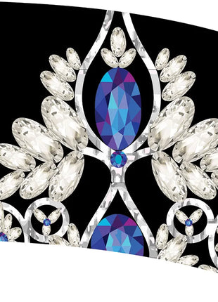 TTH241 - Smith Walbridge Band Products