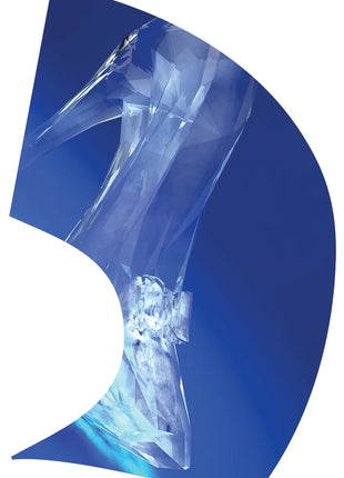 TTH246 - Smith Walbridge Band Products