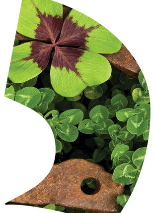 TTH248 - Smith Walbridge Band Products