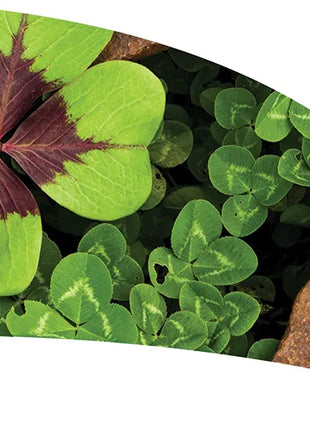 TTH248 - Smith Walbridge Band Products