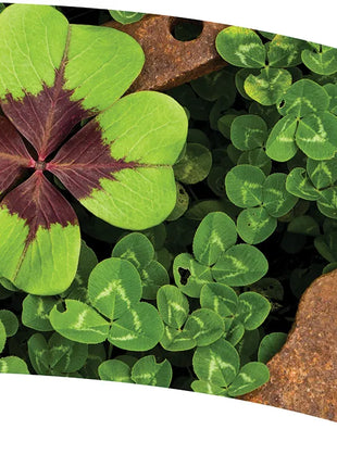 TTH248 - Smith Walbridge Band Products