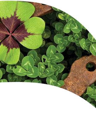 TTH248 - Smith Walbridge Band Products