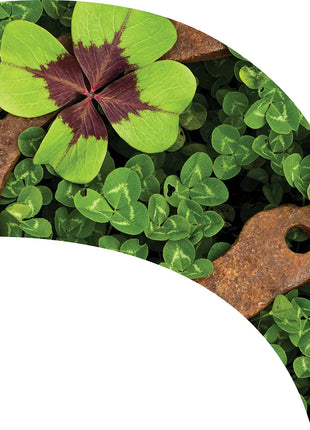 TTH248 - Smith Walbridge Band Products