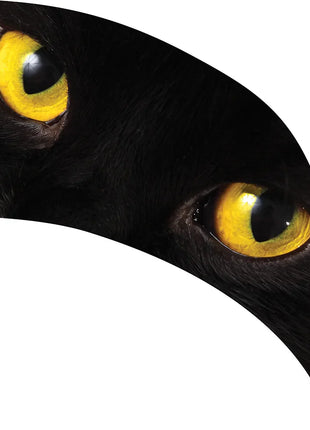 TTH249 - Smith Walbridge Band Products