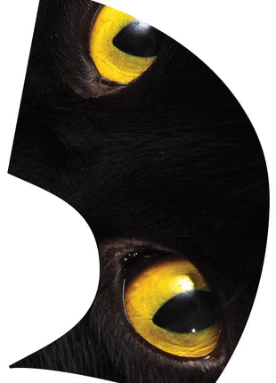 TTH249 - Smith Walbridge Band Products