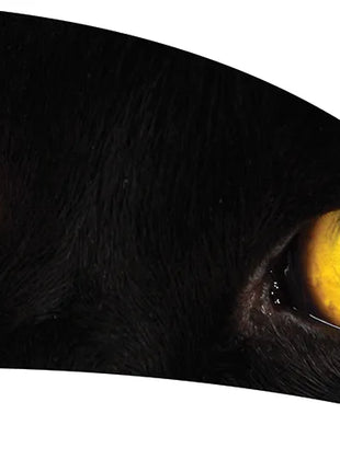 TTH249 - Smith Walbridge Band Products