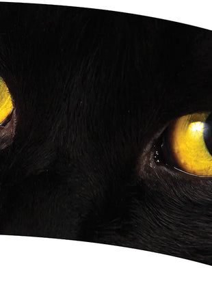 TTH249 - Smith Walbridge Band Products