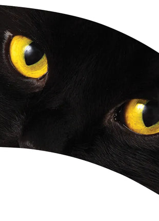 TTH249 - Smith Walbridge Band Products