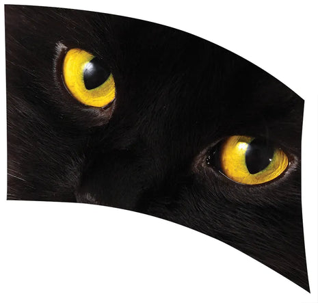 TTH249 - Smith Walbridge Band Products