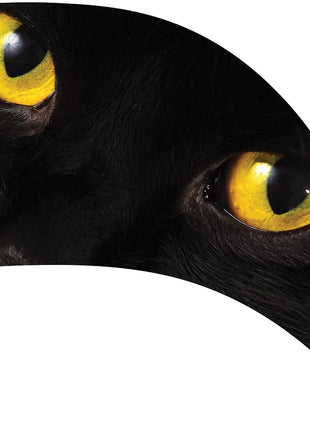 TTH249 - Smith Walbridge Band Products