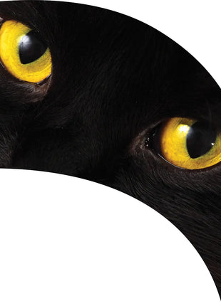 TTH249 - Smith Walbridge Band Products