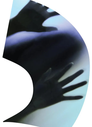 TTH250 - Smith Walbridge Band Products