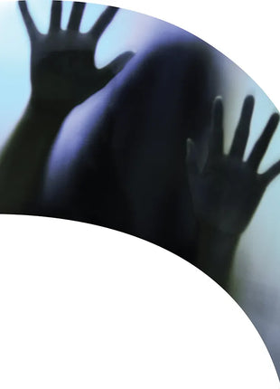 TTH250 - Smith Walbridge Band Products