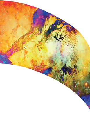 TTH261 - Smith Walbridge Band Products