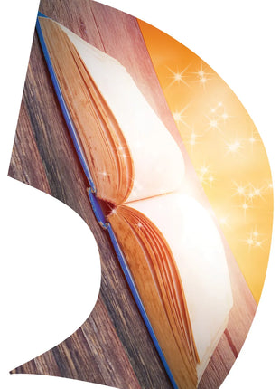 TTH271 - Smith Walbridge Band Products