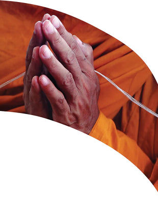 TTH279 - Smith Walbridge Band Products