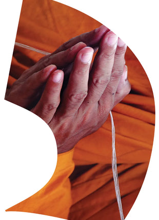 TTH279 - Smith Walbridge Band Products