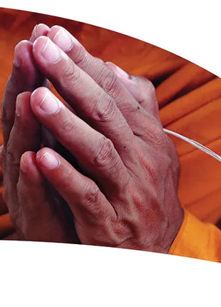 TTH279 - Smith Walbridge Band Products