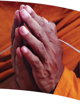 TTH279 - Smith Walbridge Band Products