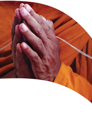 TTH279 - Smith Walbridge Band Products