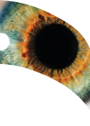 TTH280 - Smith Walbridge Band Products