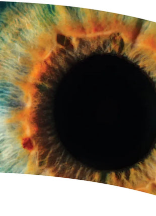 TTH280 - Smith Walbridge Band Products