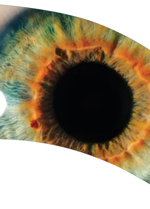 TTH280 - Smith Walbridge Band Products