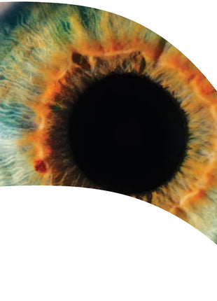 TTH280 - Smith Walbridge Band Products