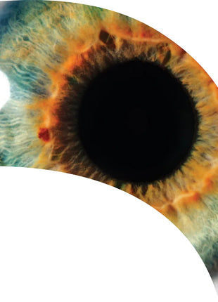 TTH280 - Smith Walbridge Band Products