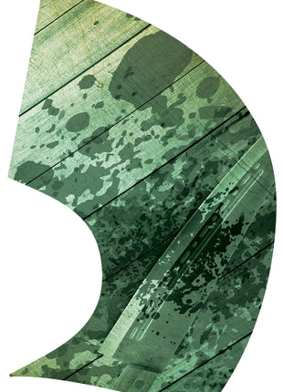 TTH281 - Smith Walbridge Band Products