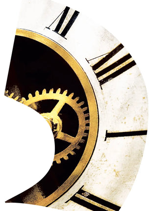 TTH289 - Smith Walbridge Band Products